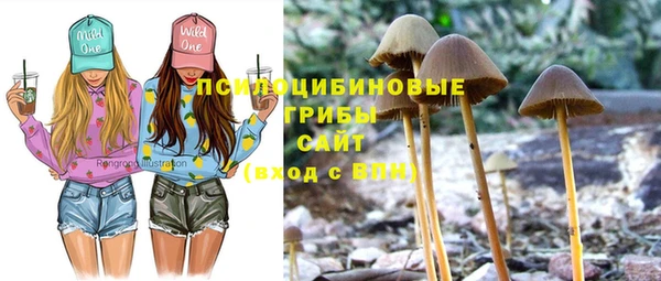 a pvp Надым