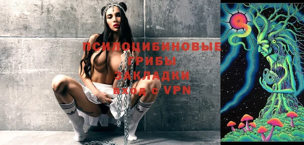 PSILOCYBIN Наволоки